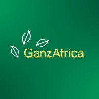 Urban planner at GanzAfrica (Deadline : 16/04/2026)