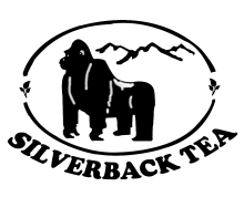 Chief Factory Electrician at Gisovu Tea Co. Ltd (Deadline: 30/04/2026)