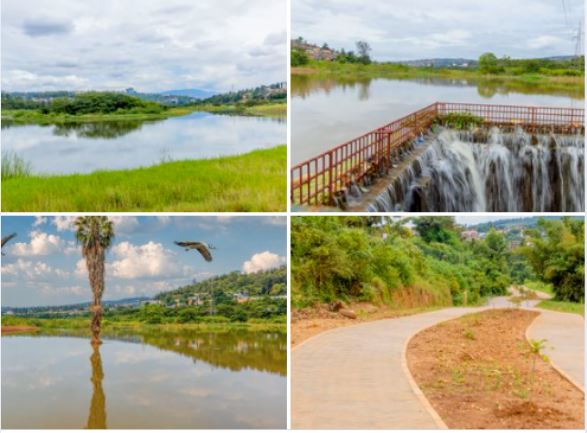 Kigali Wetlands Restoration Works Reach 92% Completion: See the Latest Transformation