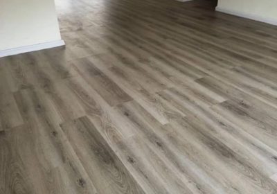 569ce2d6-7e87-4925-bf97-00f8d329f57b