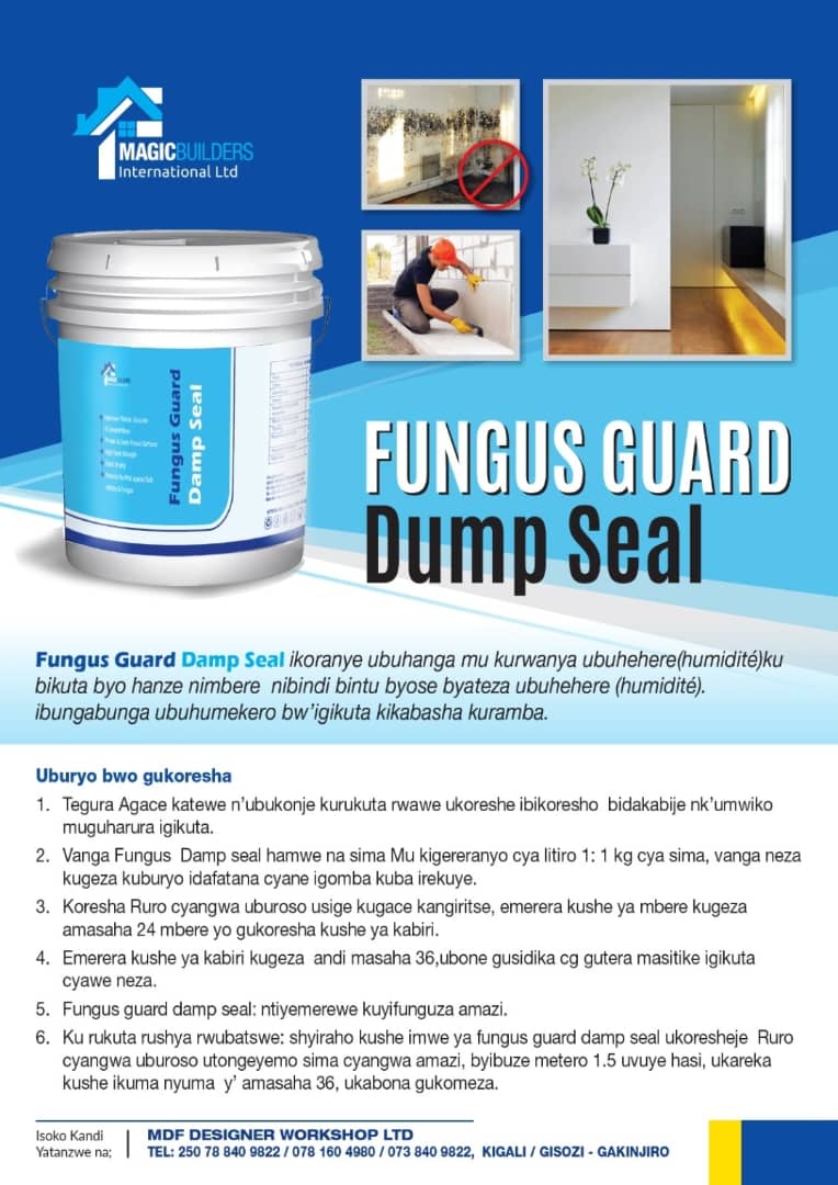 Fungus Damp Seal